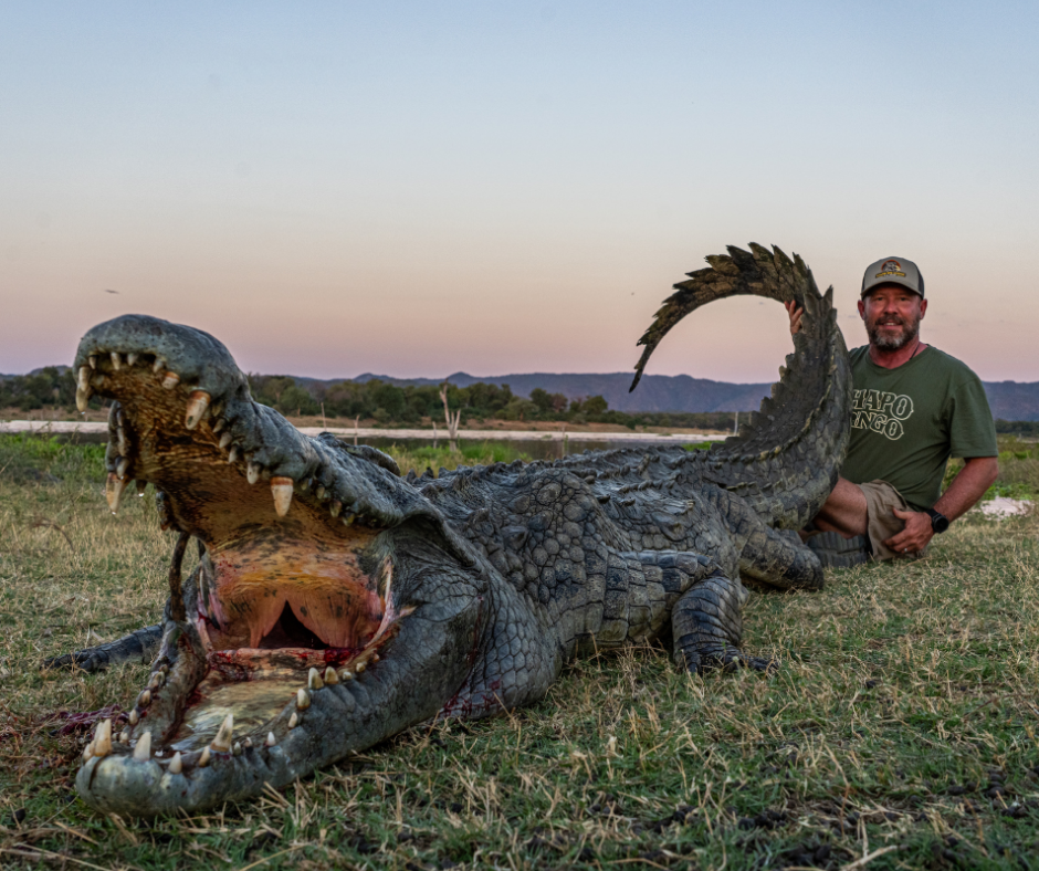 Robert Beall with a crocodile