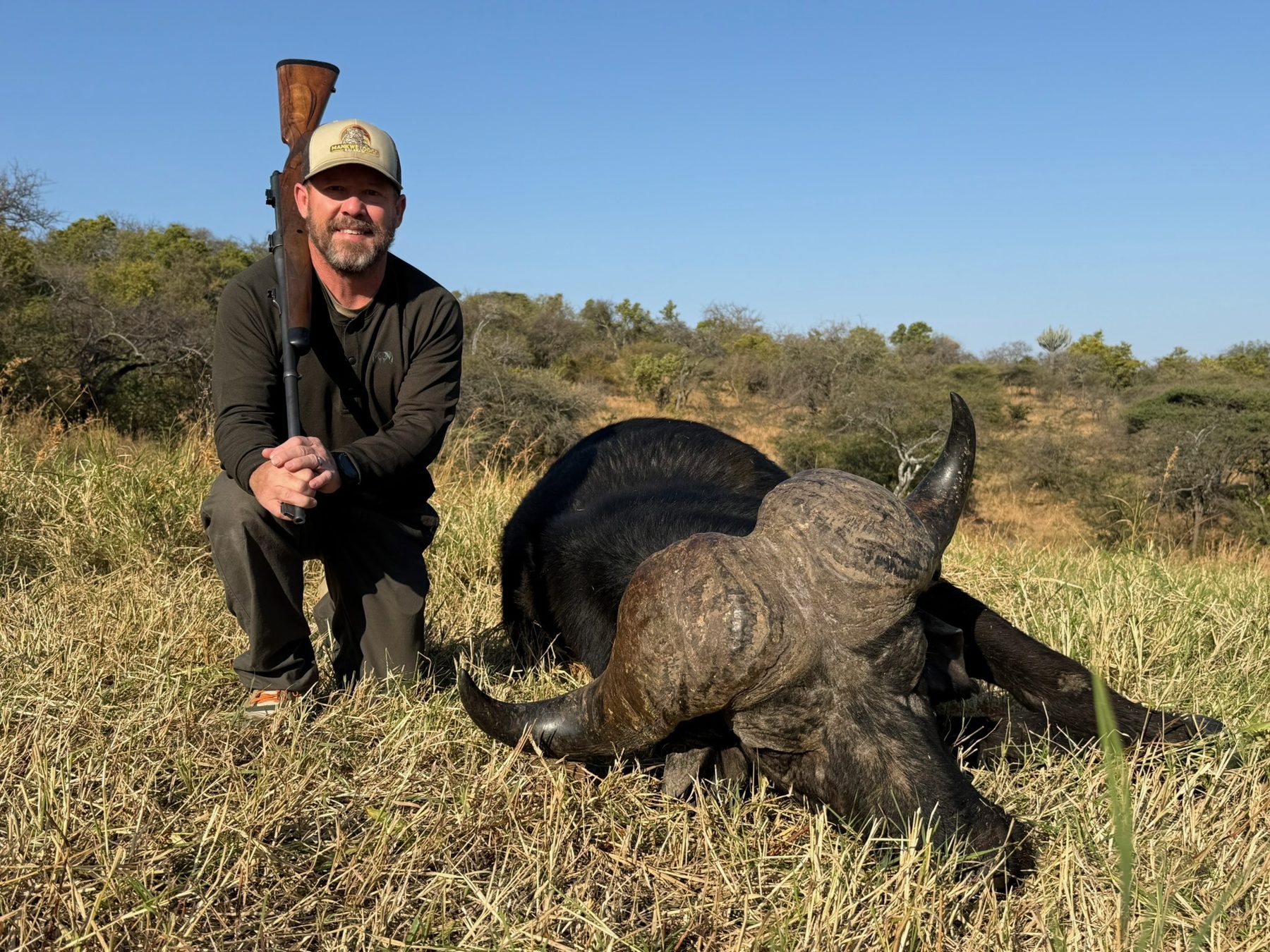 Cape buffalo trophy hunt in dry country