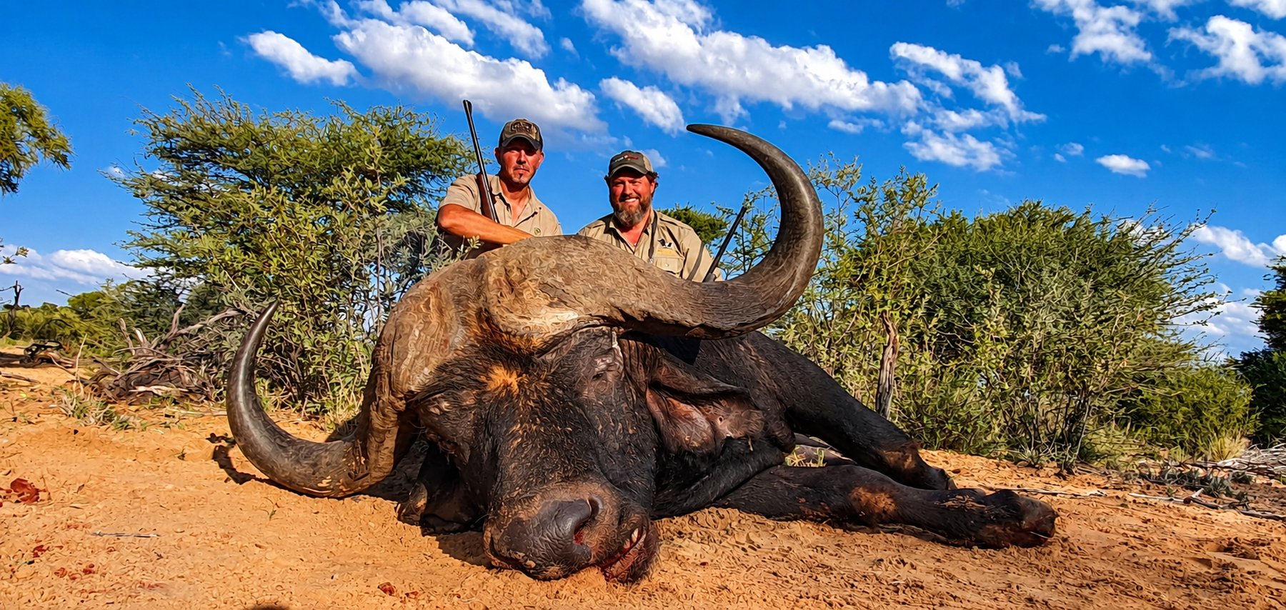Cape buffalo trophy hunt with hunters