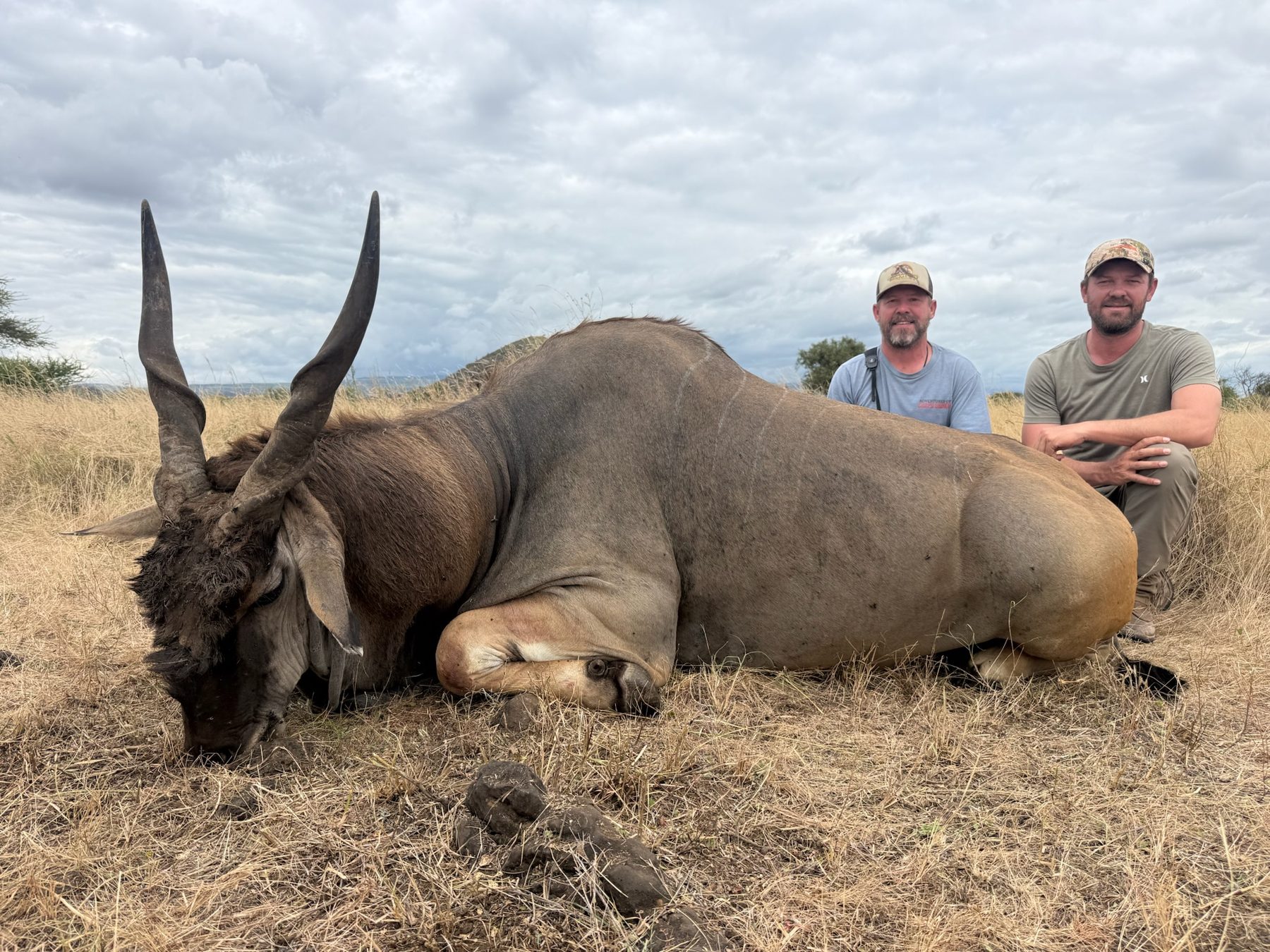 Eland trophy hunt