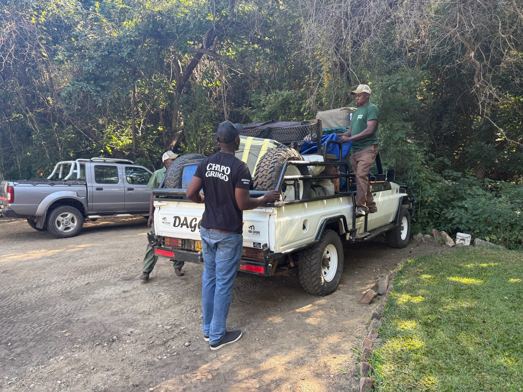 Safari vehicles in the field