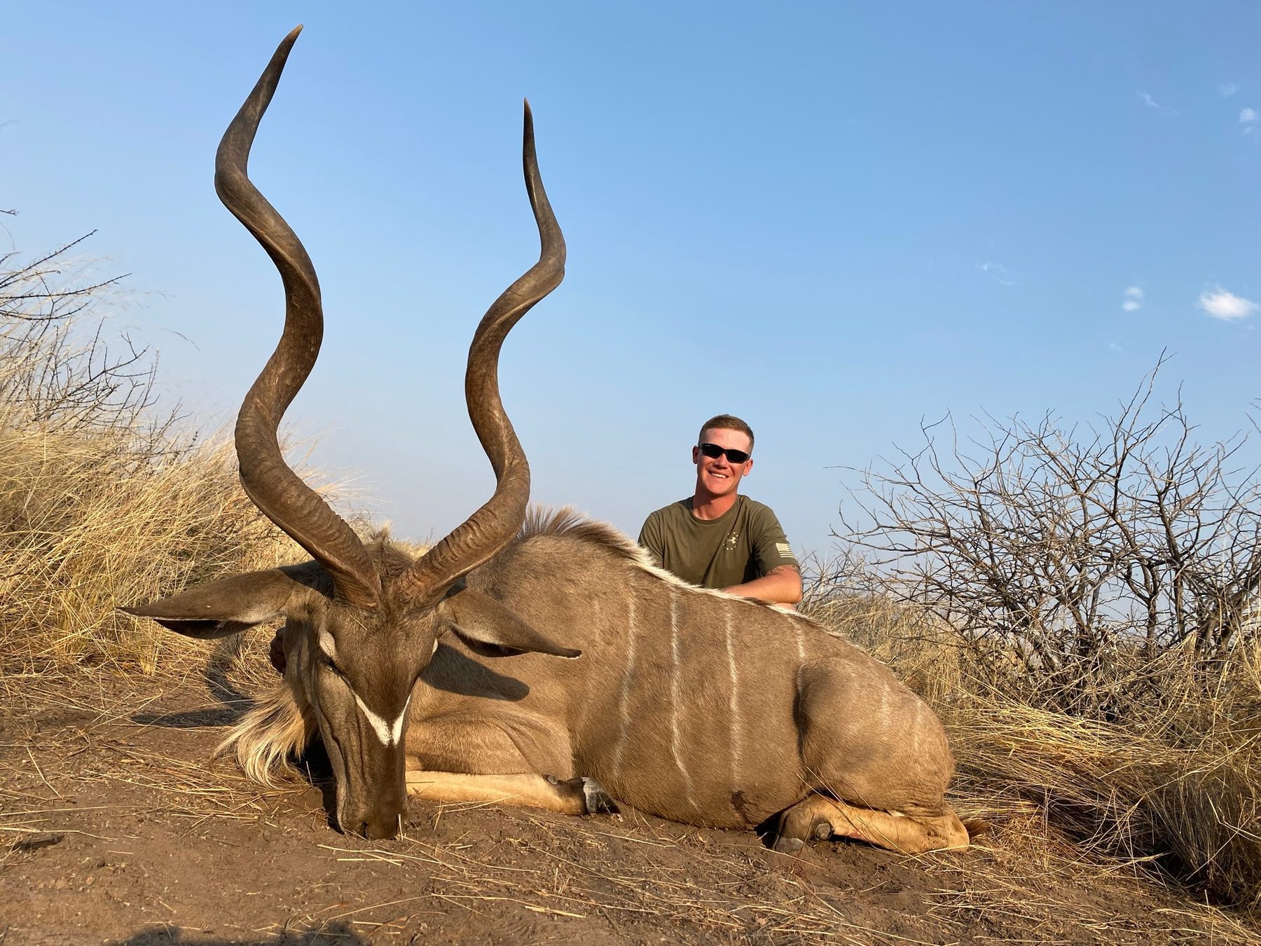Greater kudu trophy hunt