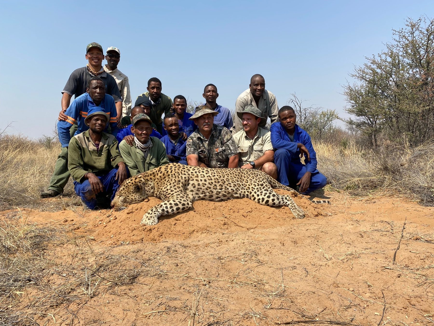 Leopard trophy hunt with the hunting team