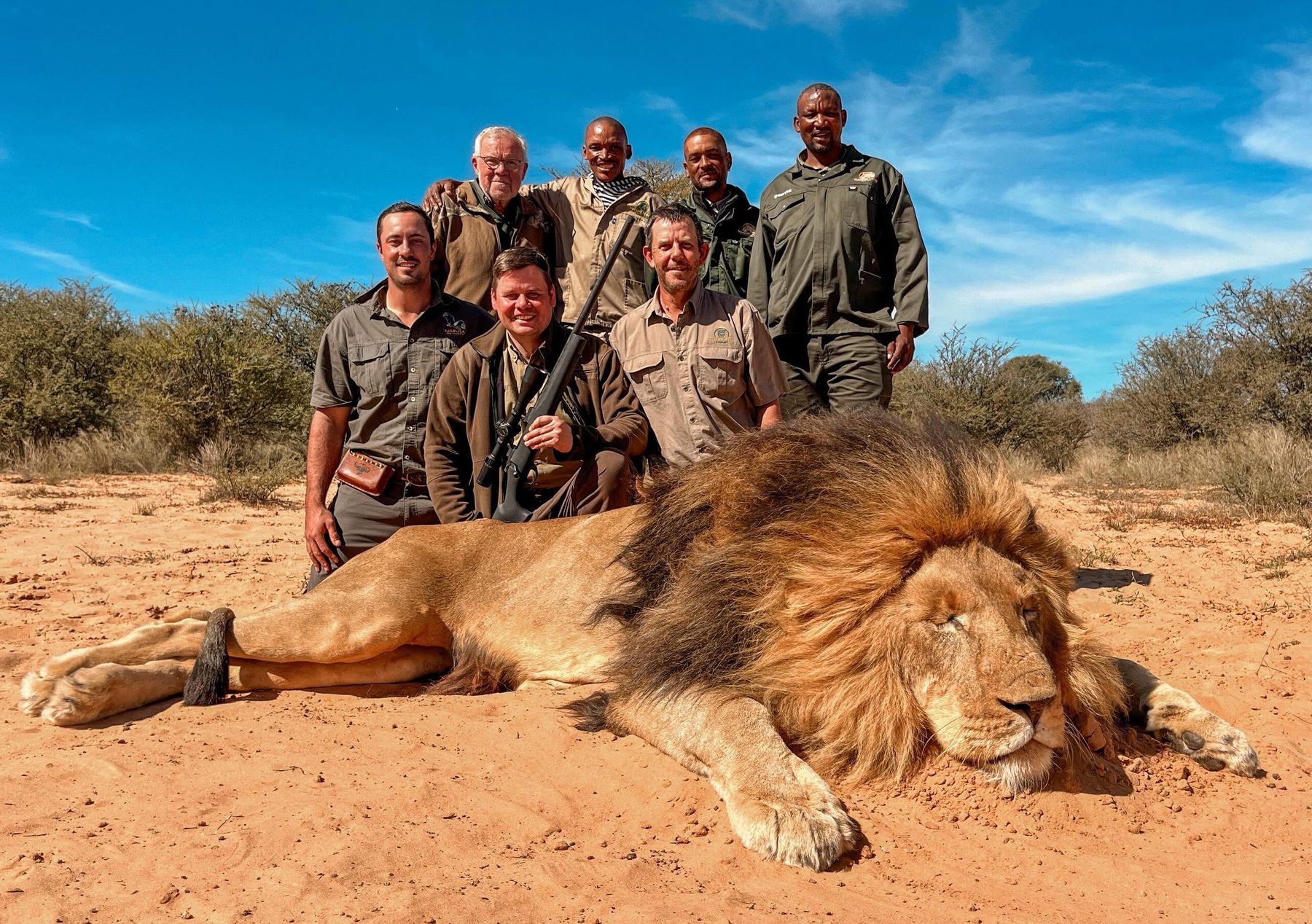 Male lion trophy hunt in the Kalahari