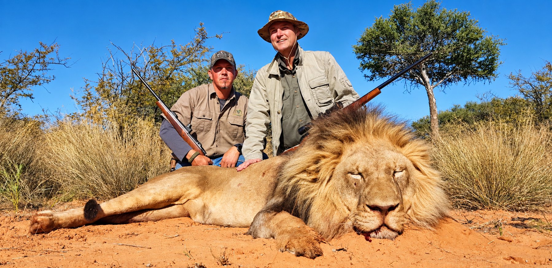 Male lion trophy hunt with the hunting team