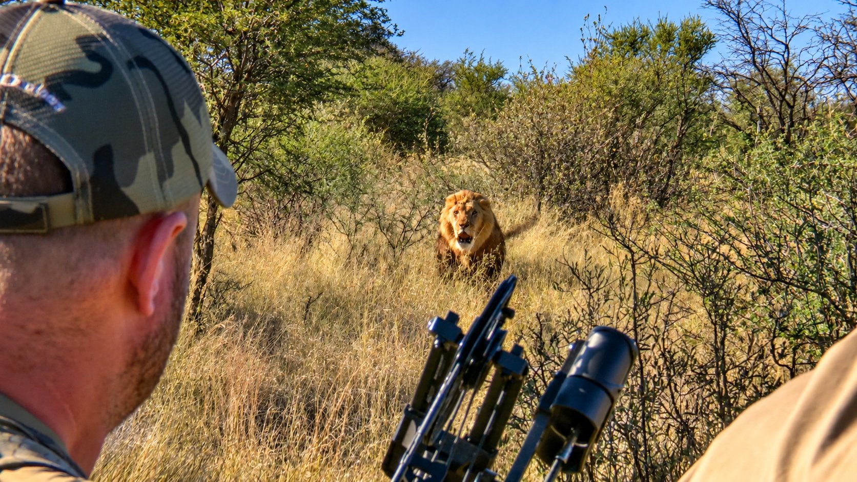 A hunter facing a lion in the Kalahari