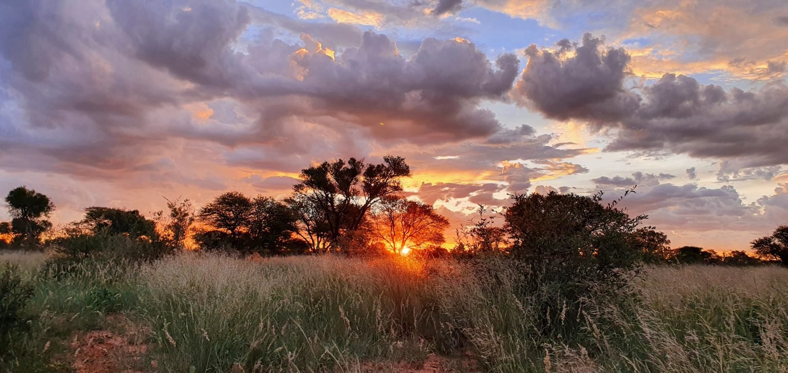 Kalahari sunset over the bush