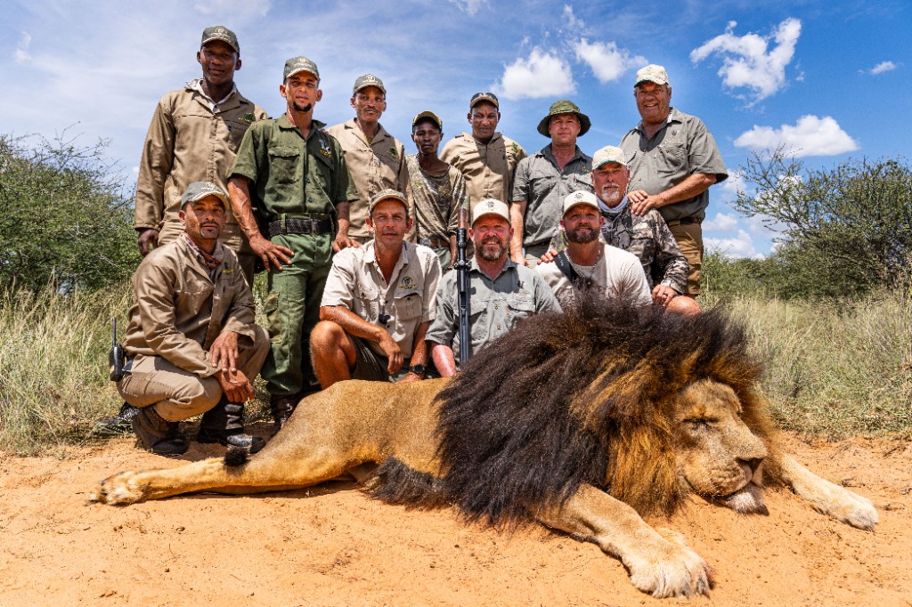 Mankwe hunting team with a Kalahari lion